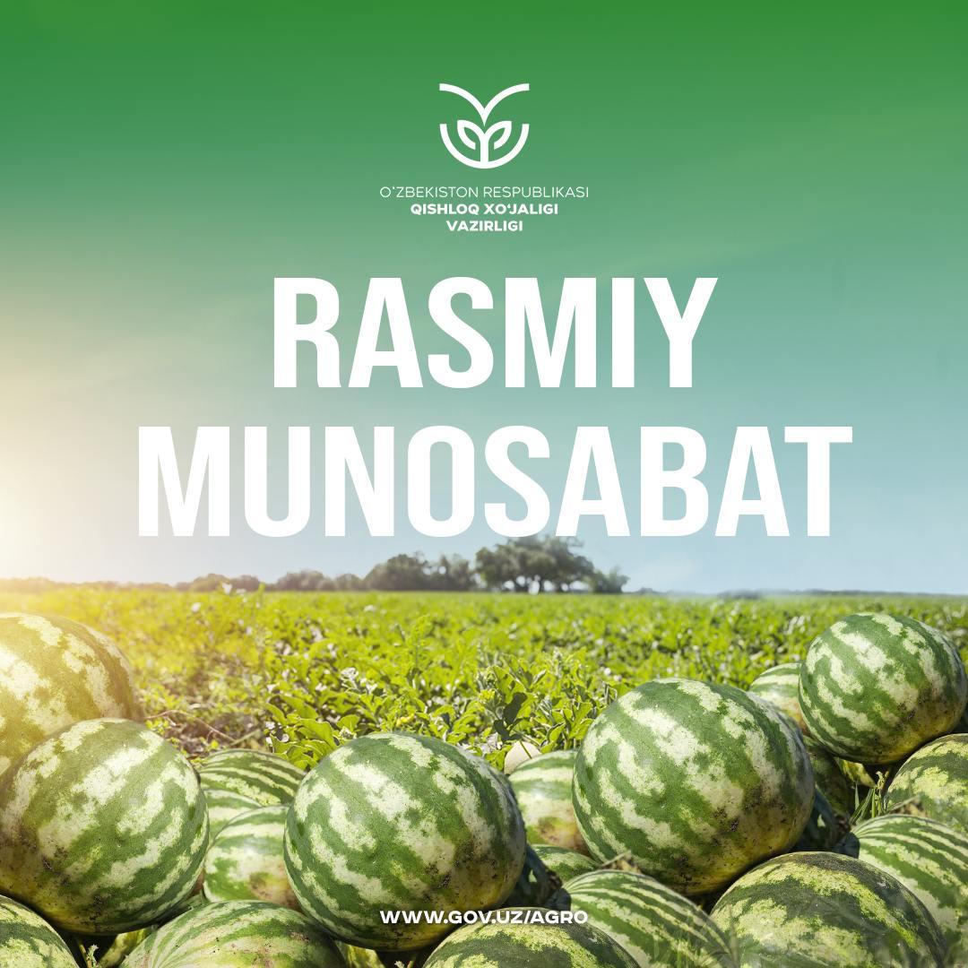 Rasmiy munosabat