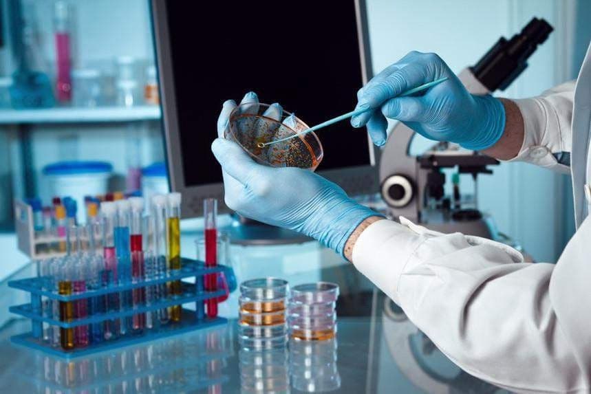JSST: bu yil vabo epidemiyasi avj olgan mamlakatlar soni 31 taga etdi