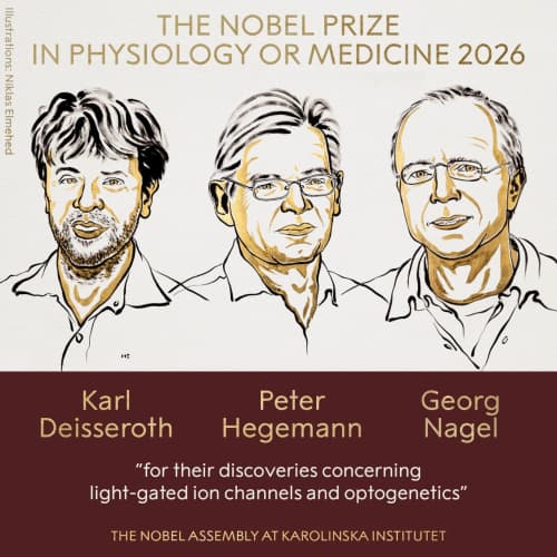 Nobel mukofotining bu yilgi sovrindorlari e’lon qilindi