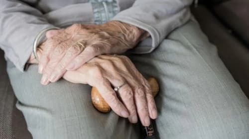JSST: Dunyoda o‘rtacha umr ko‘rish davomiyligi 73,3 yoshga yetdi
