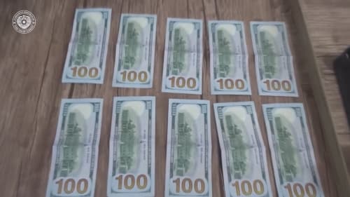 Pora taklif qilgan haydovchilar va fuqarolar Ichki ishlar organlari tomonidan qoʻlga olindi