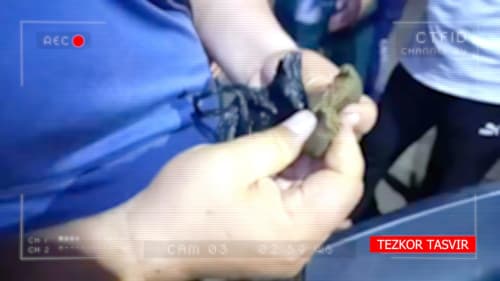В Ташкентской области пресечена попытка ввоза наркотических средств в столицу