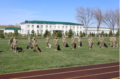 Укрепляется международное сотрудничество в области кинологии
