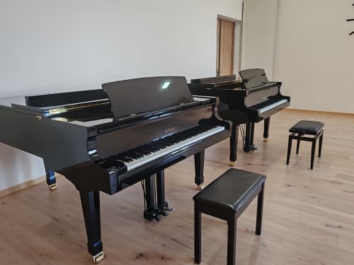 Nukus konservatoriyasi filialining musiqa asboblari fondi yanada boyitildi