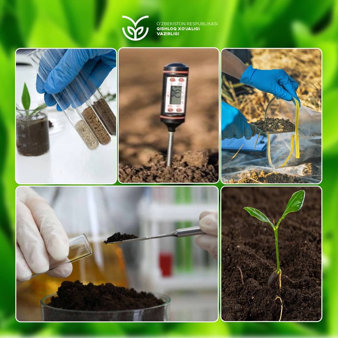 Tuproq tahlilini o‘tkazishning asosiy afzalliklari