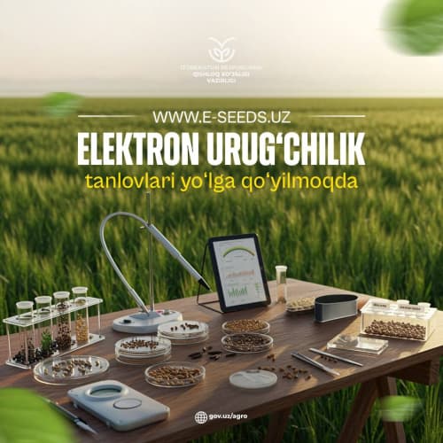 Электронный конкурс в сфере семеноводства сельскохозяйственных культур