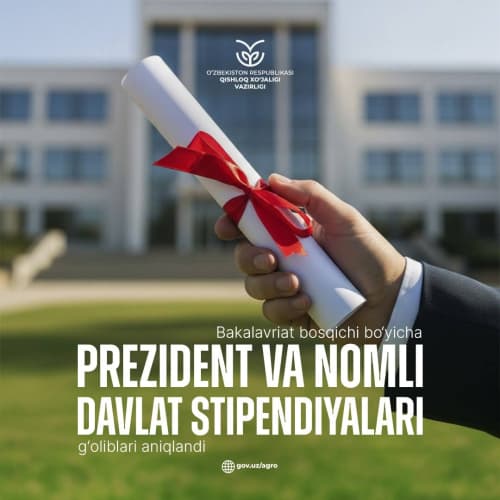 Определены победители Президентских и именных государственных стипендий для бакалавриата