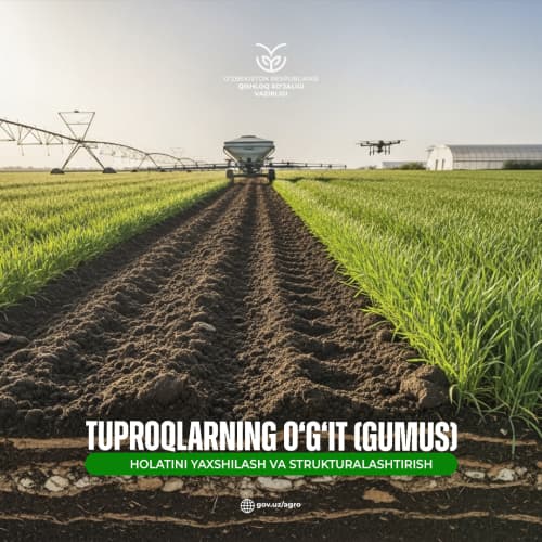 Tuproqlarning o‘g‘it (gumus) holatini yaxshilash va strukturalashtirish
