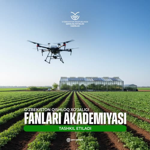 O‘zbekiston qishloq xo‘jaligi fanlari akademiyasi tashkil etiladi