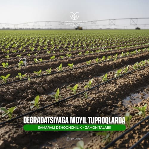 Эффективное земледелие на почвах, подверженных деградации — требование времени!