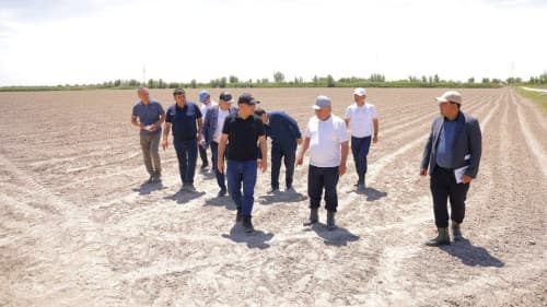 Sho‘rlangan yerda yangi imkoniyat: Xonqada jut yetishtirish jarayonlari ko'zdan kechirildi