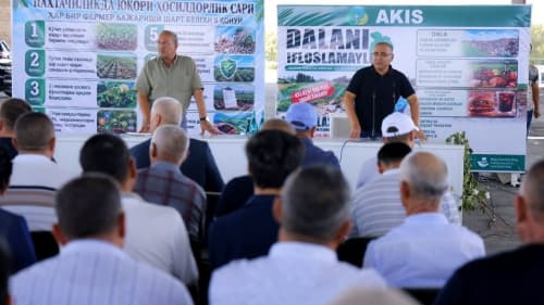 Практический семинар по хлопководству: на одной площадке — наука и практика