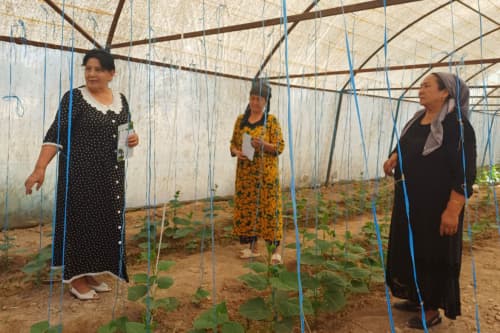 TOMORQA EGALARI O‘RTASIDA TARG‘IBOT OLIB BORILDI