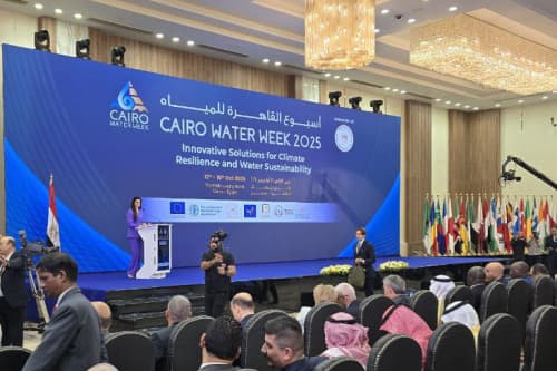 ДЕЛЕГАЦИЯ УЗБЕКИСТАНА ПРИНЯЛА УЧАСТИЕ В КАИРСКОЙ НЕДЕЛЕ ВОДЫ