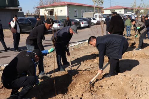 TABIAT VA MEHNAT UYG‘UNLIGI