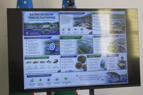 Navbahorda intensiv baliqchilik rivojlantiriladi
