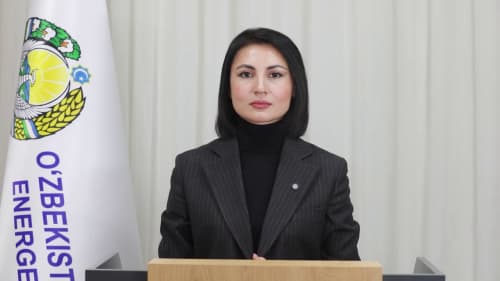Brifing: 29-yanvar kuni iste’molchilarni energiya resurslari bilan barqaror ta’minlash bo‘yicha amalga oshirilgan ishlar haqida ma’lumot