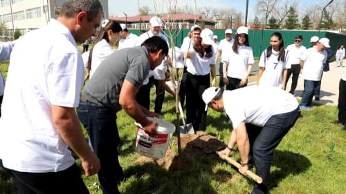 Energetika tizimida “Yashil makon”: Atmosfera musaffoligi yo‘lida bahor mavsumida 200 mingdan ziyod ko‘chat ekildi 