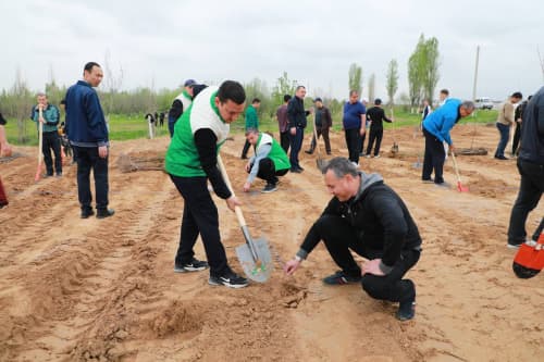 "Yashil makon" umummilliy loyihasining bahorgi mavsumi doirasida Soliq qo‘mitasi xodimlari tomonidan daraxt ekish ishlari amalga oshirildi.