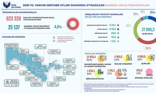 Камеральные проверки проведены у 4% от общего числа налогоплательщиков