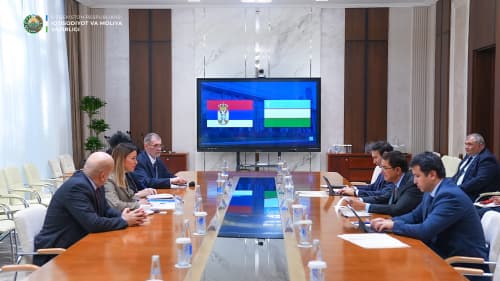 A meeting was held with the Deputy Prime Minister — Minister of Economy of the Republic of Serbia Adriana Mesarović