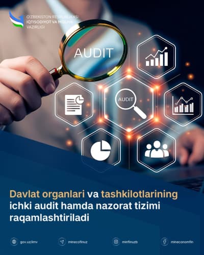Internal audit and control system of state bodies and organizations to be digitalized