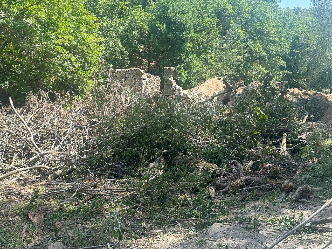 Природе парка «Аманкутан» нанесен ущерб на сумму более 1 млрд сумов