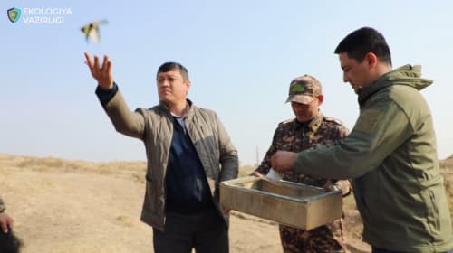 Poacher who illegally hunted goldfinches to stand trial