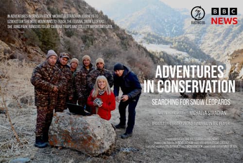 BBC to Broadcast Documentary on the Snow Leopard’s Habitat in Uzbekistan