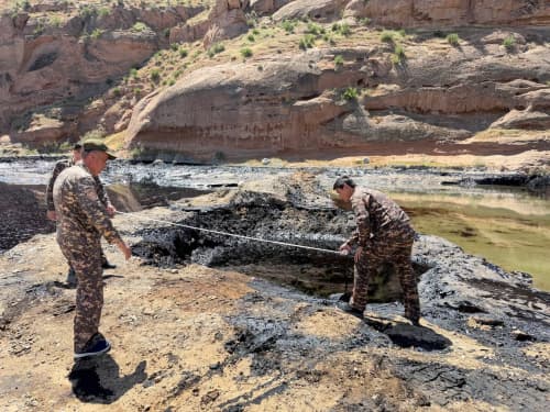 Официальное сообщение!