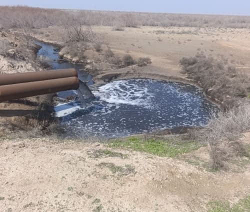 Industrial Enterprise in Kashkadarya Region Ordered to Pay Nearly 11 Billion Sums in Additional Environmental Compensation