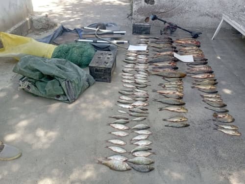 Illegal Fishing Offenders Detected in Bukhara Region