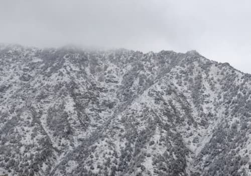 "Hisor" davlat qo‘riqxonasida qor yog‘di