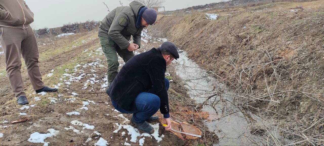 Individuals who cut down 21 Elm trees are deprived of liberty