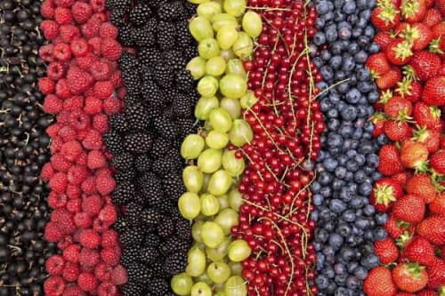 2025 yilda Andijonda qariyb 751 ming 887 tonna meva va rezavorlar yetishtirilgan