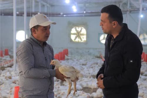 Kogon: “Niyozhoji” MFY Vadan qishlogʻida yana bir tashabbus—parrandachilik loyihasi amalda