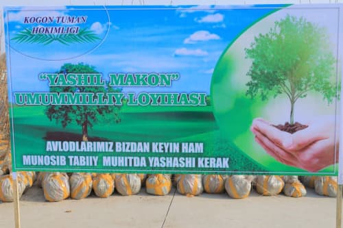 Kogon tumani: Suxor mahallasida “Madaniyat va istirohat bogʻi" tashkil etilmoqda