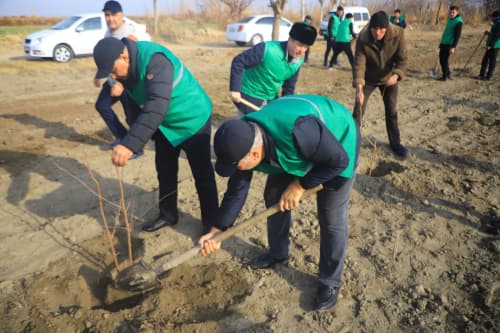 Vobkent: "Yashil makon” umummilliy loyihasi doirasida "Sudyalar bogʻi" barpo qilinmoqda