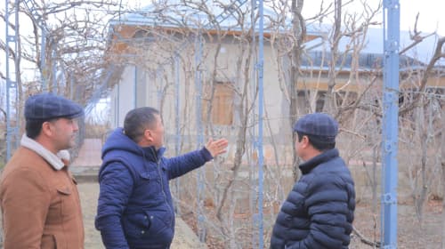 Олот: Баҳромовлар оиласи ҳам томорқадан, ҳам қайта тикланувчи энергия манбаларидан даромад топмоқда