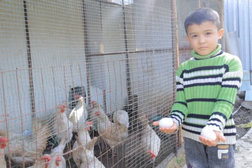 Kogon: Fozilovlar xonadoni uchun ham tomorqa va parrandachilik—farovonlik omili