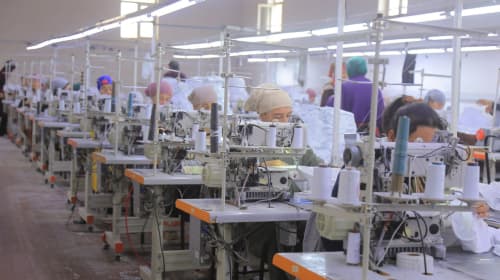 Olot: "Veltonix" MCHJda 100 nafar tikuvchi ayol bandligi taʼminlanmoqda