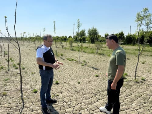 Universitet o‘quv-tajriba maydonlarida innovatsion agrar uslubda hosil yetishtirilmoqda