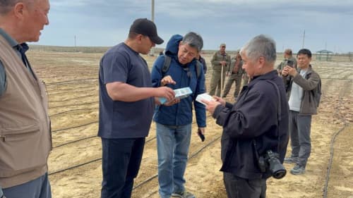 Қоракўлда шўр ва сувсизликка чидамли ўсимликлар—галофит боғи барпо қилинмоқда