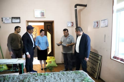 Buxoro tumani: joriy mavsumda “jonlantirilgan” 4317 quti ipak qurtidan barakali hosil ko‘zlanmoqda