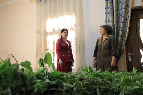 Когон: “Баҳоуддин Нақшбанд” ва “Сараён” маҳаллаларида ҳам “кумуш тола” заршунослари оз эмас