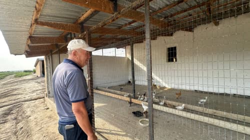 Qorovulbozor: “Istiqlol” fermer xo‘jaligi faoliyatida yana bir tarmoq ochildi 