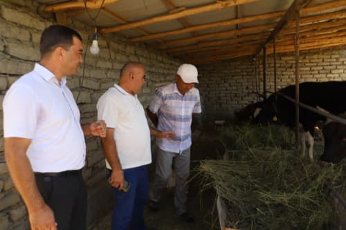 Halol mehnat ortidan kelgan baraka: jondorlik Yorqin Sayliyev oilaviy chorvachilik faoliyatini kengaytirmoqda