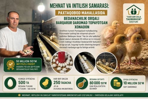 Mehnat va intilish samarasi: “Paxtaobod” mahallasida bedanachilik orqali barqaror daromad topayotgan xonadon