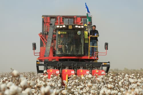 Hosildorlik 30 ming tonnaga ortadi 