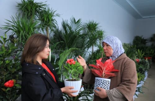 Жиззахлик “гулчи опа”